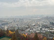 Day view