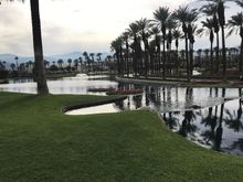 Golf view