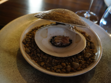 Mahogany Clam