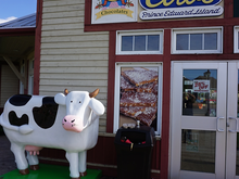 Cows Ice Cream