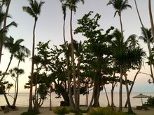 backyard at dusk
