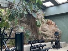 Gym with skylights