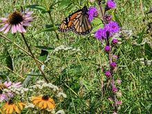 A friend from the Chicago northern suburbs sent this. I thought it was spectacular. 