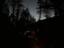 Not shown: caterpillars everywhere 