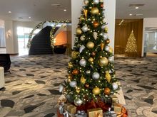 Hyatt Regency LAX