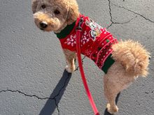 It’s sweater weather in Scottsdale too!