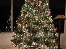 for the last night of the Christmas tree