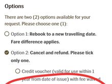 You think that's bad? If I want a cash refund from Royal Brunei they want to apply a coronavorus special admin fee. Turkish Airlines are just asking you to wait for your money back. Royal Brunei on the other hand want to charge you to return your money. 

It puts TK in a favourable light.  