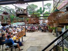 Early morning at the birdcage café in Ho Chi Minh City 