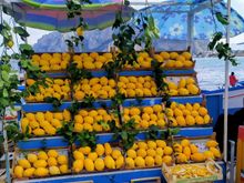 There's nothing better than lemons in Sicily 