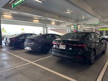 That Jetta is a few months old