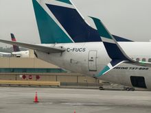 funny tail number