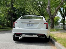 Not a fan of the rear