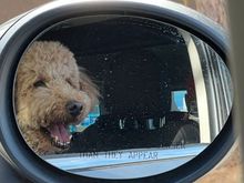 Waiting for dad in the car with Uncle Gordon!