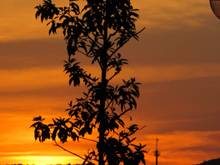 ... as the sun was setting ...