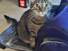 Made sure to pack the essentials for my trip.
