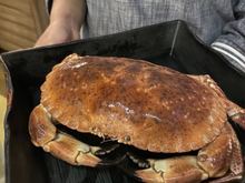 Local crab 