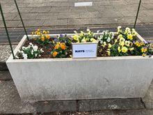  Some planters in Yoyogi Park 