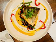 Salmon
