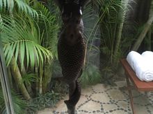 Mermaid shower handle