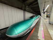 Omg. The Shinkansen train. Full disclosure: not the one we boarded.