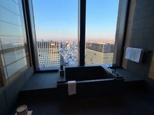 Can I bring this tub and view back home in my luggage