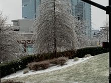 Downtown Nashville didnt lose power and didnt have a lot of big trees. 