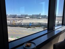 View from the Club with a cookie