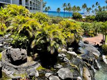 Resort grounds