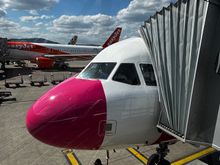 Pink nose on stand at Zurich
