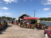 The Cafe Regatta