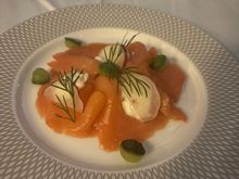 Trout starter 2nd meal