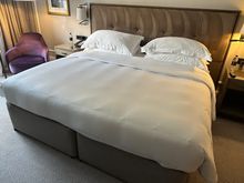 Garden View Room 