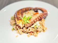Octopus