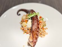 Octopus: my favorite dish