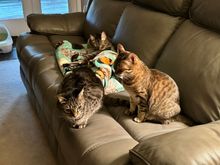 Guess I’m not going to sit on my new couch right now after all.