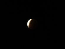 As it was shot (a little darker than actual)