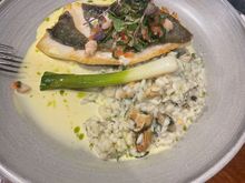 John Dory and a Spring Onion