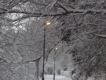 Narnia in Maidenhead