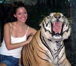 A Pattaya Tiger