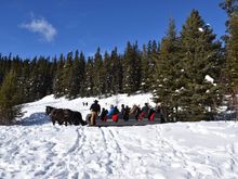 Horse-drawn Sleigh Ride