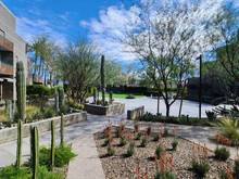 Better view of the cement pad where the pond garden used to be.