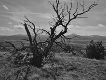 Ghost Ranch, NM