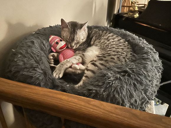 Oh how I missed this while I was away traveling