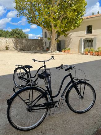 Bicycles can be rented