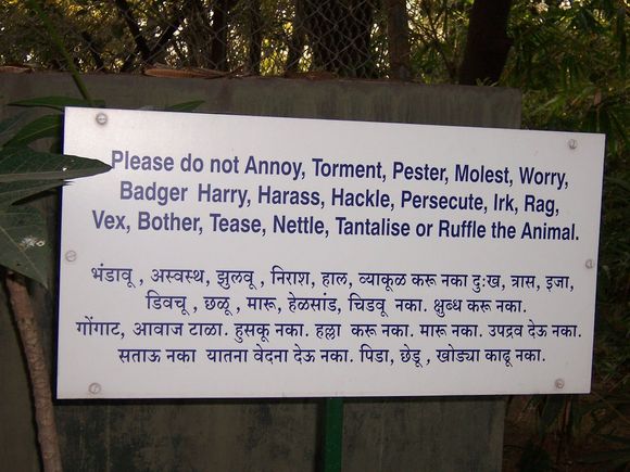 Have they forgotten any adjectives?