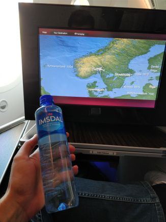 Norvegian mineral water bottle (actually a bit too tall to fit inside the armrest storage...)