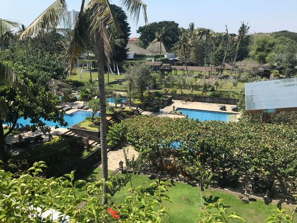 View from the side terrace