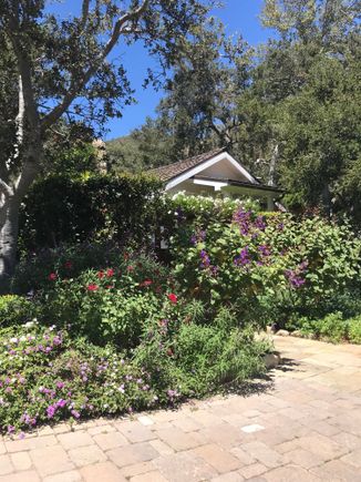Lavender Cottage