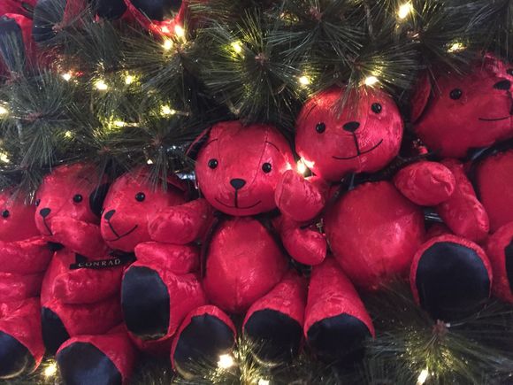 The bears on the tree. I wonder what they dis with these when the tree came down.